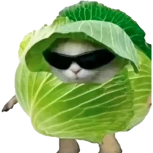 Lechuga Gaming