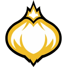 Onion Team