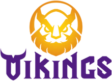 Vikings Esports