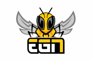 Electronik Generation