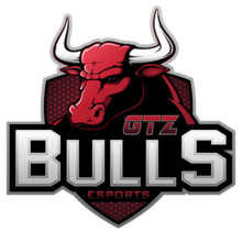 GTZ Bulls