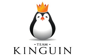 Team Kinguin