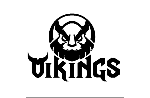 Vikings Gaming