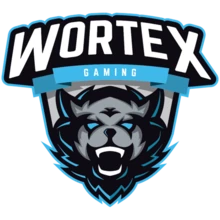 Wortex Gaming